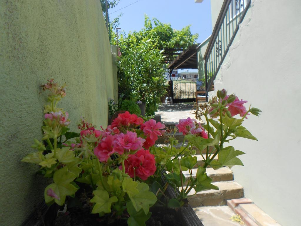 Irmak Family Pension & Apartments Eceabat Room photo